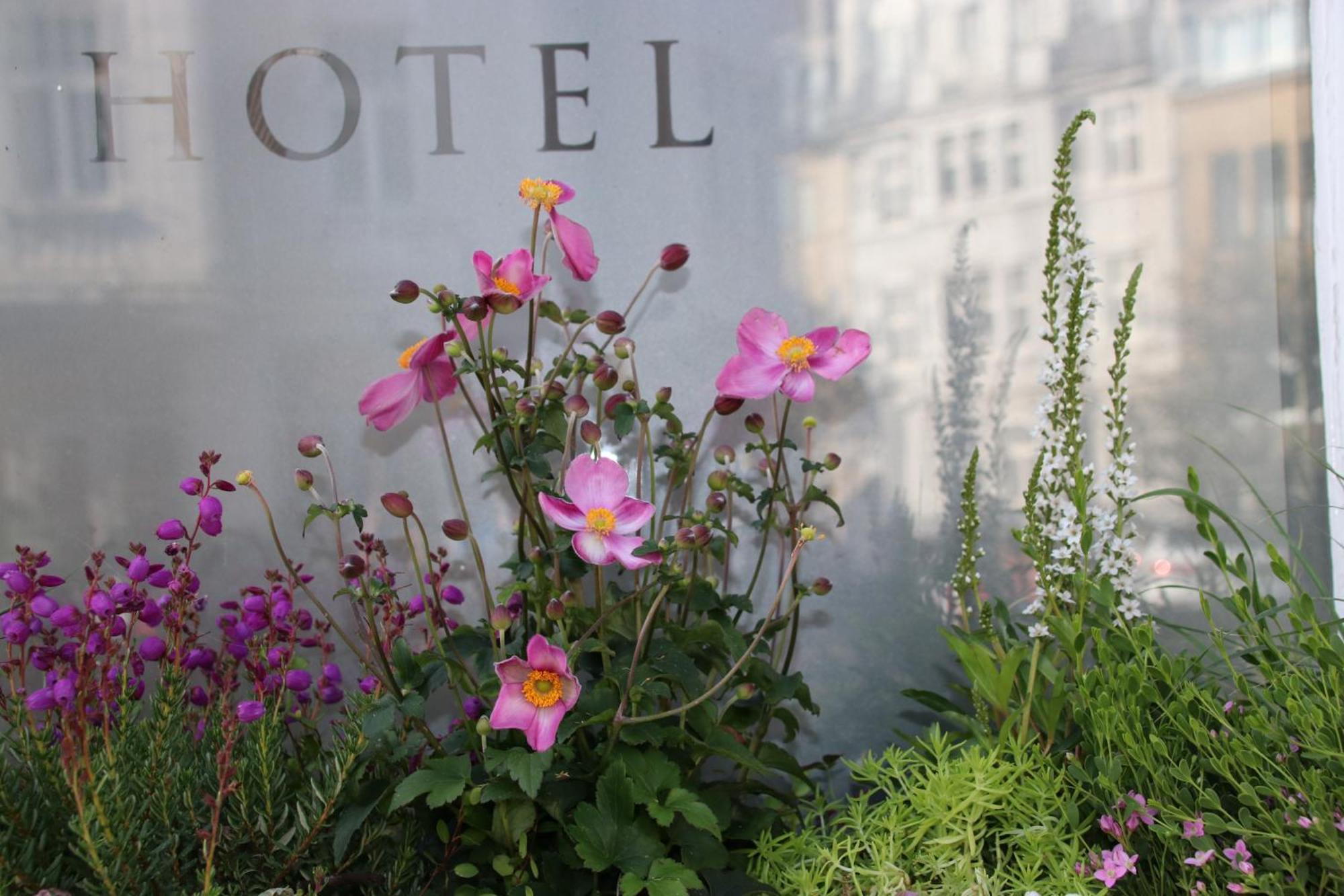 Hanseat-hotel 4*